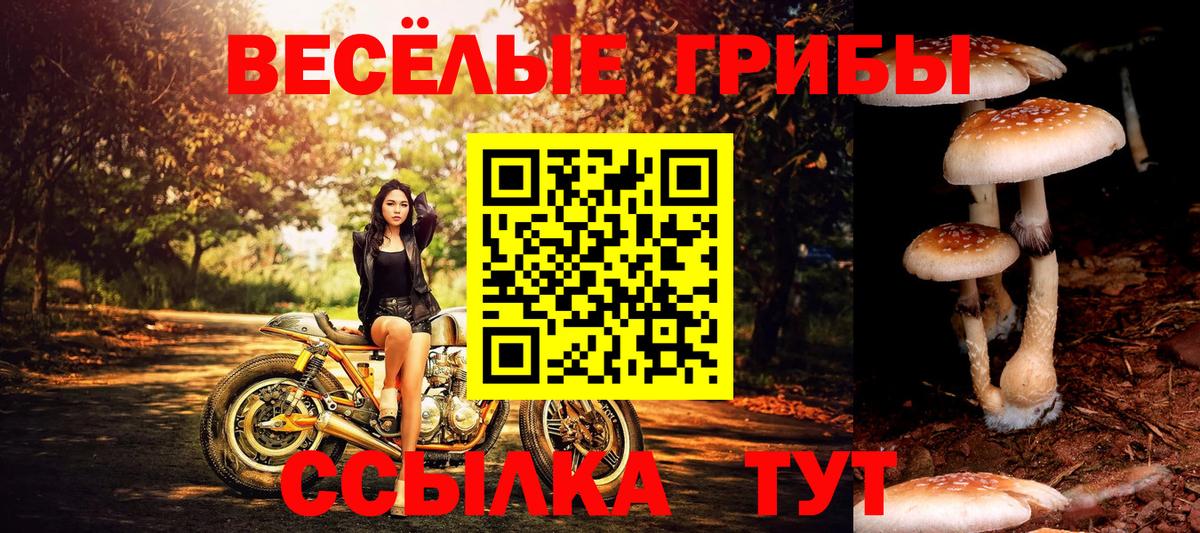 Галлюциногенные грибы мухоморы  Вход с VPN  Спасск-Дальний 